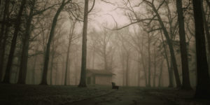 Solitude: A Place for Your Soul to Come Out