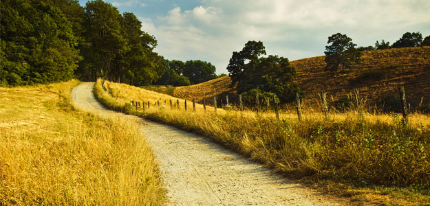 Match opportunity ends May 31st